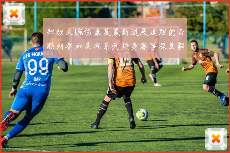 郑钦文腕伤康复最新进展追踪能否顺利参加美网系列热身赛事深度解析